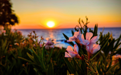 Spring surge or false dawn? What the next 3 months really hold for the UK housing market